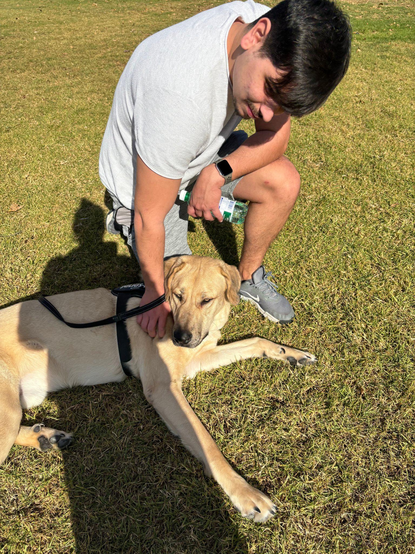 Personalised Care — dog care in southern Spain